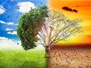 Năm 2030: Nguy cơ giảm 6.2% sản lượng nông nghiệp do biến đổi khí hậu